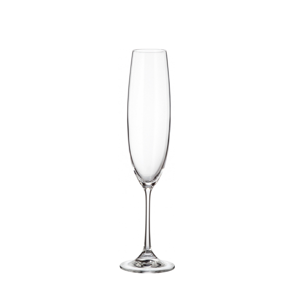 Crystal Bohemia Champagne verre Milvus 250ml 6 pièces